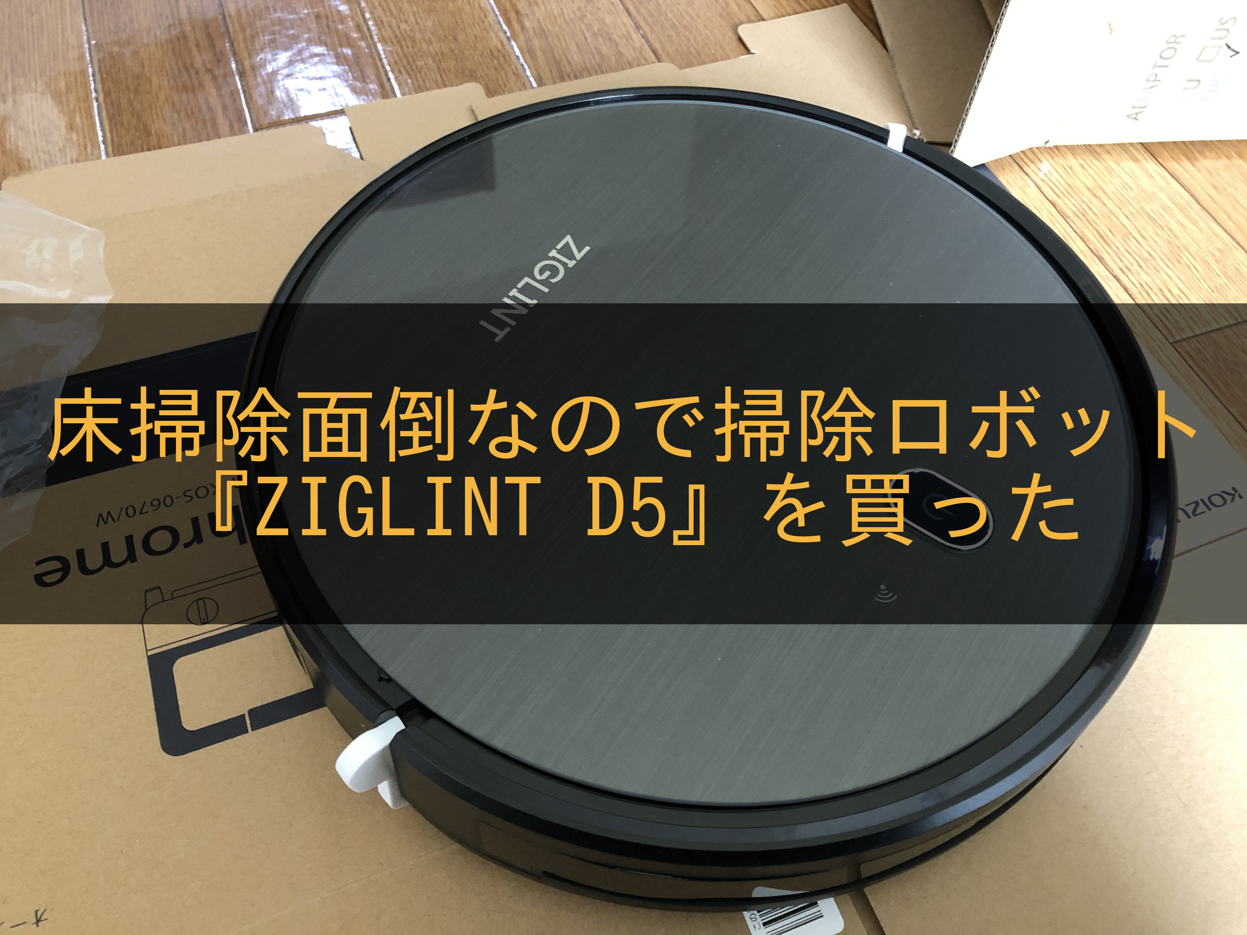 ZIGLINT D5 アイキャッチ